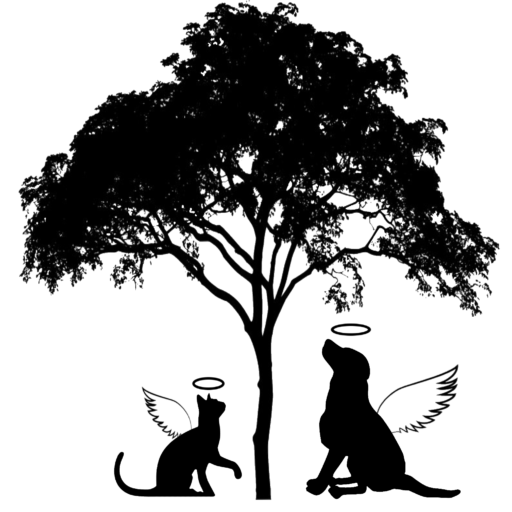 Icono Sigra
